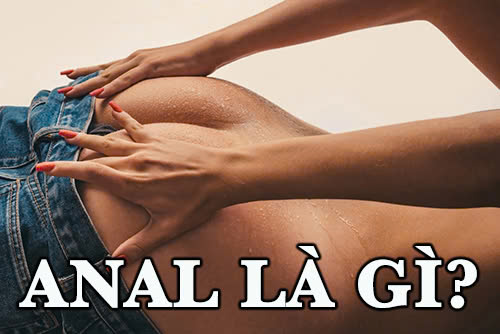 Anal la gì?