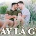 Gay là gì