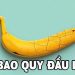 Nứt bao quy đầu là gì?