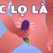 sóc lọ là gì