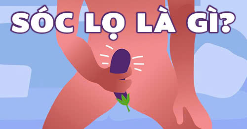 sóc lọ là gì